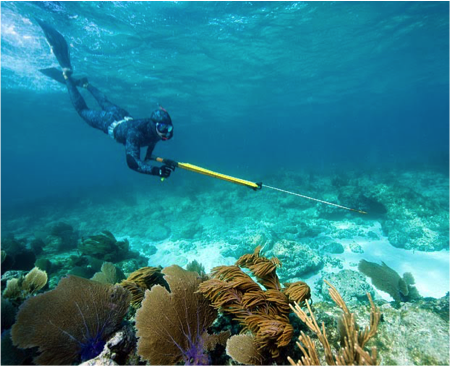 Cut Resistant Gloves as Spear Fishing Gloves?