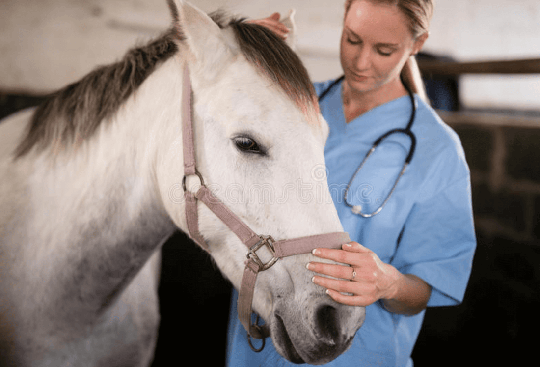 Gloves Can Help Prevent Spread of Equine Coronavirus