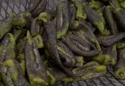 How to Process and Store Green Chile