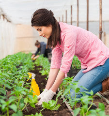 Gloves and Agriculture: Choosing the Best Glove