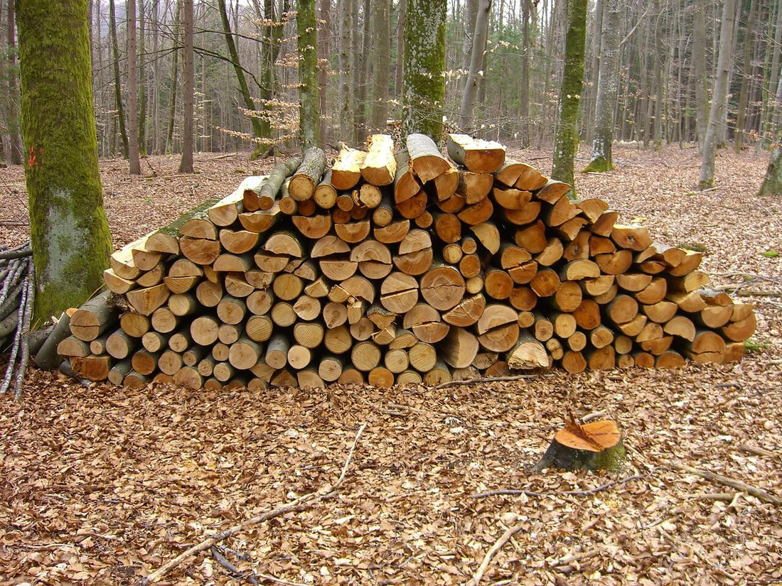 Best Gloves For Handling Firewood